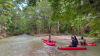 Mossman Gorge Day Tour with River Drifting - Departs Port Douglas or Cairns