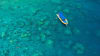 Scenic Flight, Rafting and Snorkelling, Full Day - Whitsundays