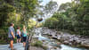 Mossman Gorge Day Tour with River Drifting - Departs Port Douglas or Cairns