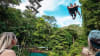 Bungy Jump & Giant Jungle Swing Combo - Cairns