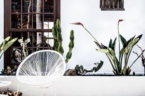 Feng Shui maison pour l'harmonie et le bien-être