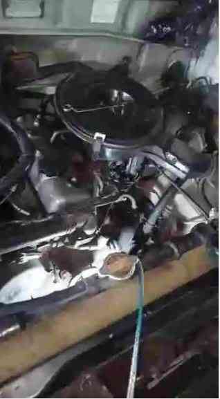 Ganti V Belt