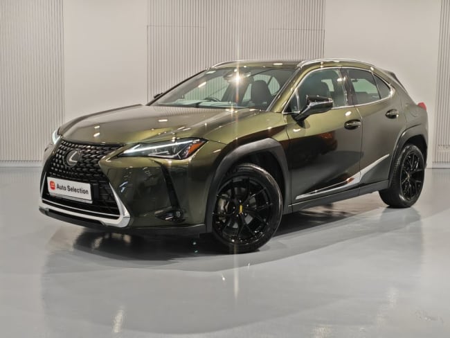 2019 Toyota LEXUS UX200 EXECUTIVE