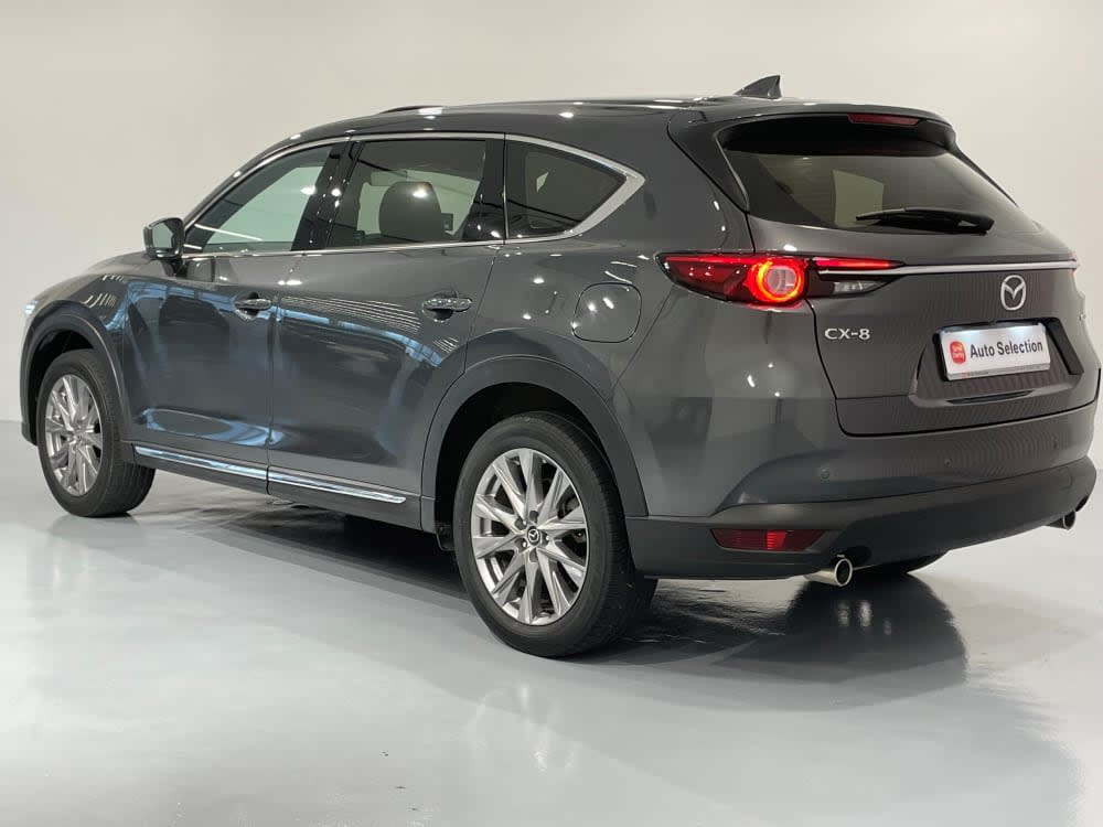 Mazda CX-8 2.5 AT LUXURY 7 SEATER 