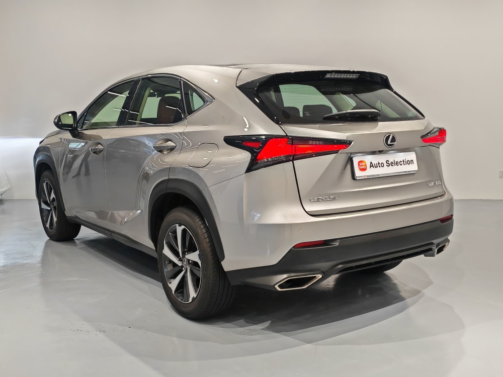 Toyota LEXUS NX300 LUXURY MR 