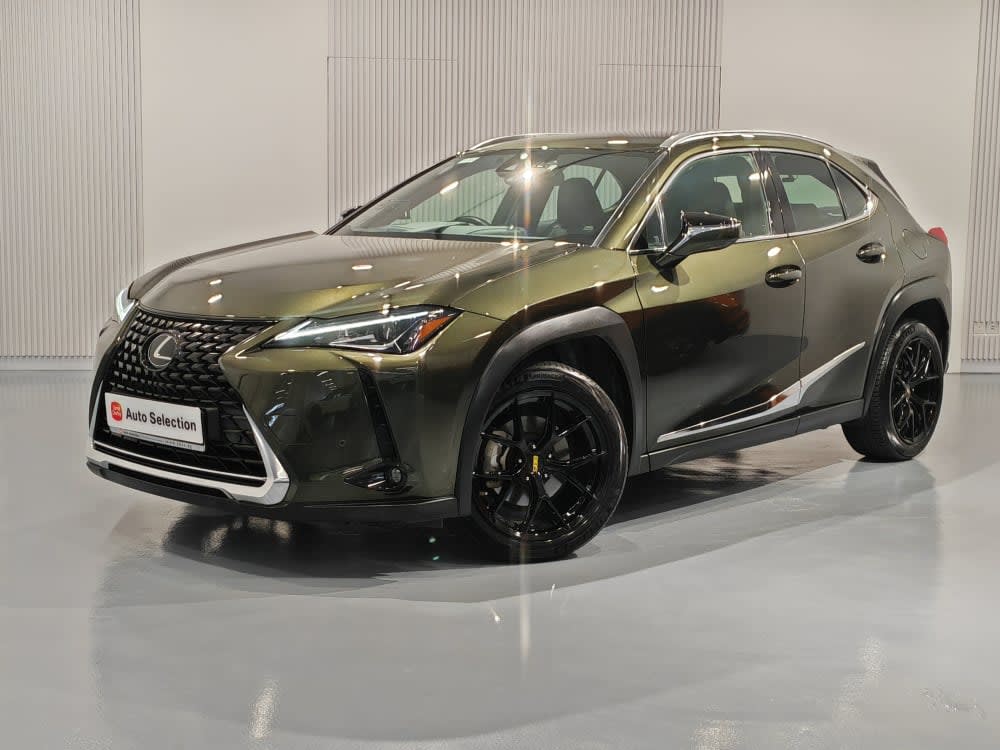 Toyota LEXUS UX200 EXECUTIVE 