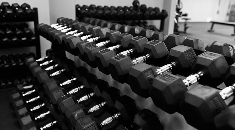 A dumbbell rack in the Advanced Training Studio