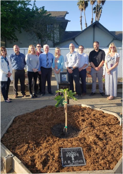 Team planting a tree