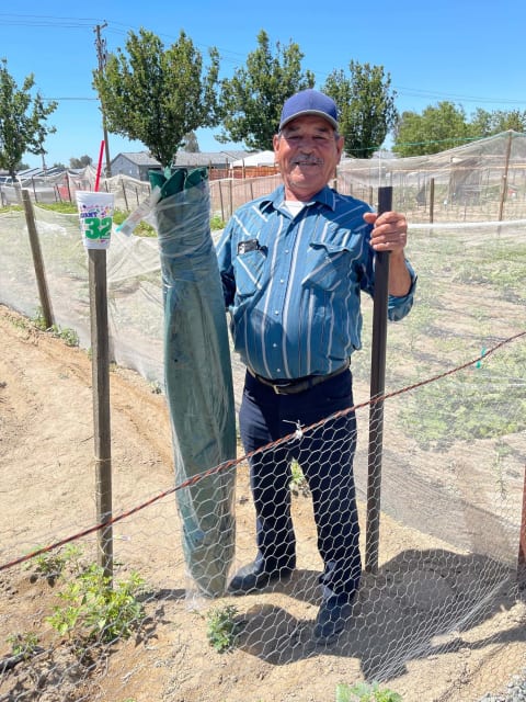 Man posing in community garden