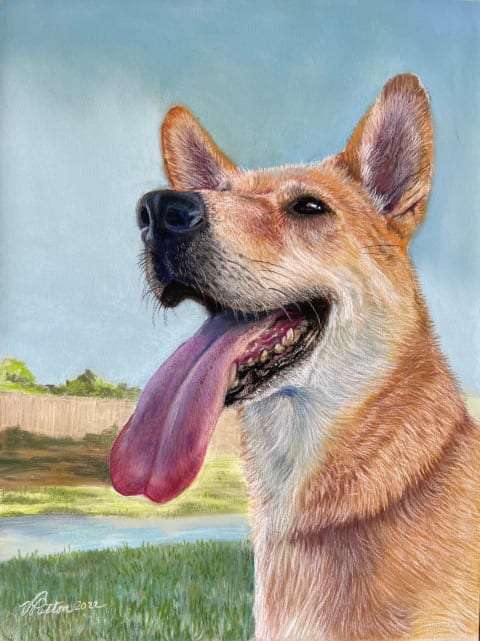 Portrait of dog