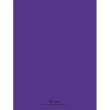 CONQUERANT C9 Cahier piqûre 24x32cm 48 pages 90g grands carreaux Seyès. Couverture polypropylène Violet photo du produit