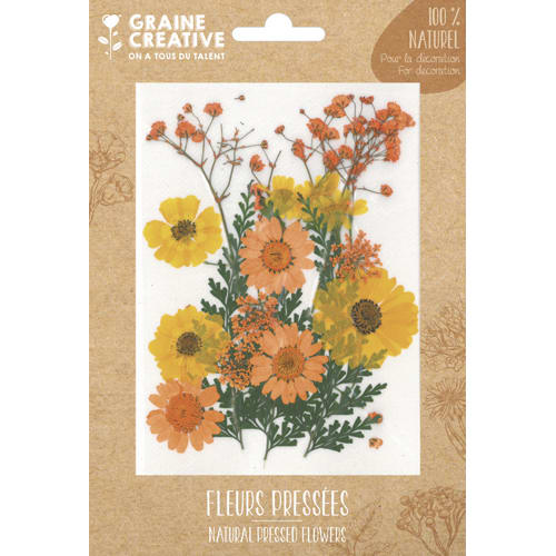 GRAINE CREATIVE Sachet de 18 fleurs séchées PRAIRIE JAUNE pour la création de bougies, objets en bois... photo du produit Principale L