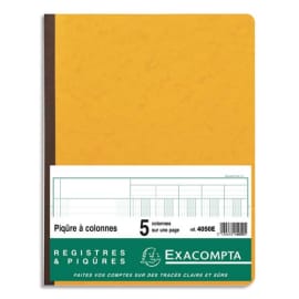 Exacompta - Journal de caisse ou banque - 10 colonnes : 5 débits/5 crédits  - 32 x 19,5 cm vertical Pas Cher