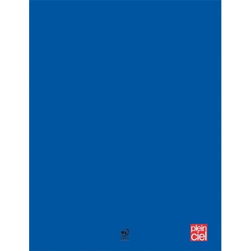 PLEIN CIEL Cahier piqûre 21x29,7cm 96 pages grands carreaux Seyès 90g. Couverture polypro Bleu photo du produit Principale L