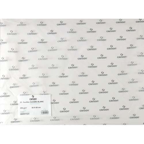 CANSON Feuille de papier buvard 250g 50x65cm Blanc Ref-91123 ≡ CALIPAGE