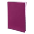 QUO VADIS Agenda TOSCANA Ministre Décembre à Décembre 2024, papier blanc, format 16x24 cm couv Fuchsia photo du produit