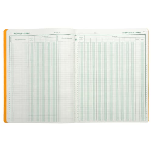 EXACOMPTA Piqûre 27x32cm Journal de caisse ou banque 13 débit - 6 crédit 31  lignes 80 pages