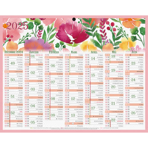 CBG Calendrier MINI FLEURS, Janvier à Décembre 2025, 21x26,5cm, 1 trou photo du produit Principale L