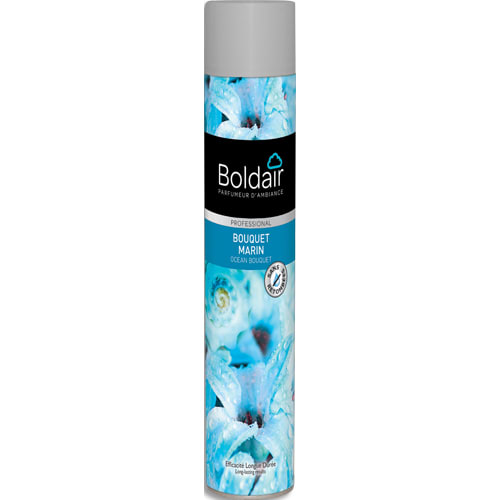 BOLDAIR Désodorisant d'atmosphère 750 ml parfum Bouquet marin Professional photo du produit Principale L