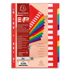 Viquel - Lot de 6 Intercalaires plastique format A4 Maxi - Perforation 30  trous - Intercalaires scolaires ou bureau : : Fournitures de bureau