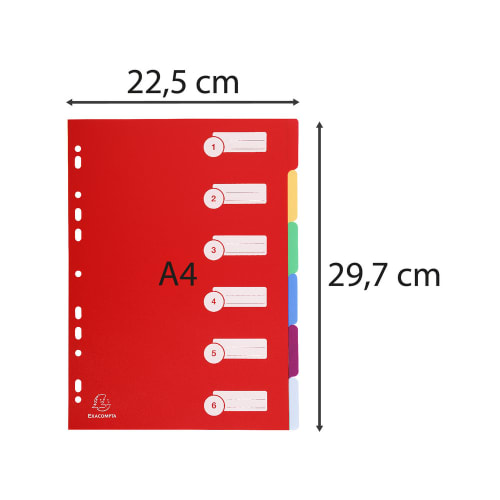 EXACOMPTA Intercalaire en polypropylène, format A4, 6 positions assortis pastel photo du produit Secondaire 3 L