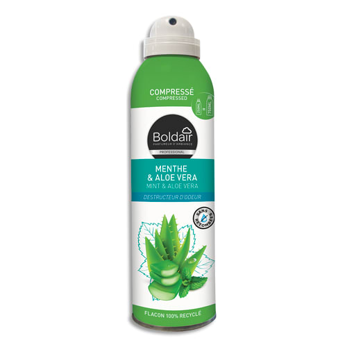 BOLDAIR Aérosol compressé de 250 ml destructeur d'odeurs superficie de 20  m² menthe aloé vera.