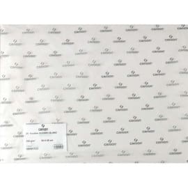 CANSON Feuille de papier buvard 250g 50x65cm Blanc Ref-91123 photo du produit