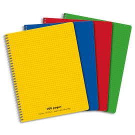 Cahier spirale 17x22cm 100 pages petits carreaux 5x5 90g. Couverture polypro assortie photo du produit