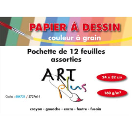 AUCHAN Pochette de papier à dessin à grain 12 feuilles 24x32cm 160g/m2  couleurs vives pas cher 