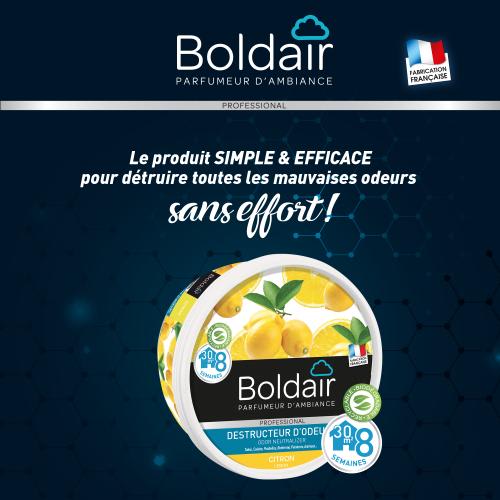 BOLDAIR Pot 300g Gel destructeur d'odeurs Citron photo du produit Secondaire 2 L