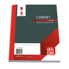 PLEIN CIEL Carnet texté Commande format 18x21cm. 50 feuilles autocopiantes en tripli photo du produit