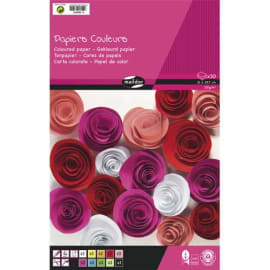 CLAIREFONTAINE Bloc de 30 feuilles de papier couleur 120g format A4 assorties photo du produit