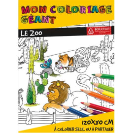 CBG Poster géant à colorier, format 80 x 120 cm, thème le zoo photo du produit