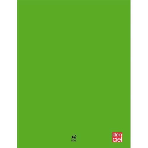 PLEIN CIEL Cahier piqûre 21x29,7cm 96 pages grands carreaux Seyès 90g. Couverture polypro Vert photo du produit Principale L