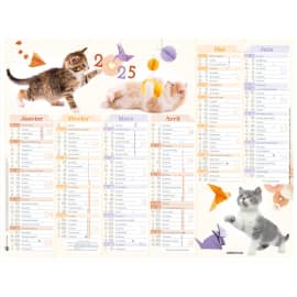 OBERTHUR Calendrier Chaton, Janvier à Décembre 2024, PEFC, 43x33,5cm photo du produit