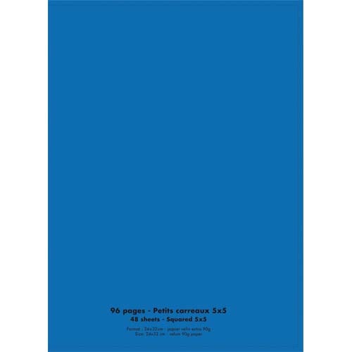 Cahier Bleu - 24x32cm - Grands Carreaux - 96 pages