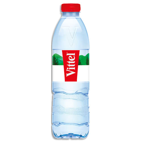 EVIAN Bouteille plastique d'eau 33 cl minérale plate