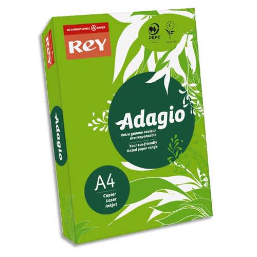 INAPA Ramette 500 feuilles papier couleur intense ADAGIO Vert intense A4 80g photo du produit Principale L