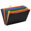 VIQUEL Valise trieur RAINBOW 12 compartiments, en polypro 10/10e, Noir intérieur multicolore photo du produit