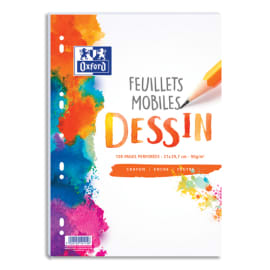 Sachet de 100 pages copies simples grand format A4 petits carreaux 5x5 70g  perforées