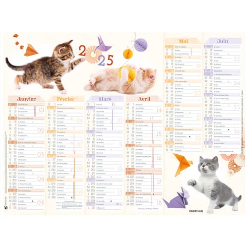 OBERTHUR Calendrier Chaton, Janvier à Décembre 2024, PEFC, 27x21cm photo du produit Principale L