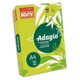 INAPA Ramette 500 feuilles papier couleur pastel ADAGIO Vert pastel A4 80g photo du produit