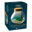 GRAINE CREATIVE Kit Fimo terrarium photo du produit