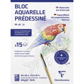 CLAIREFONTAINE Bloc prédessiné ANIMAUX 15F (2Fx6 designs) 300g 30x40cm photo du produit