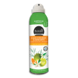 BOLDAIR Aérosol compressé de 250 ml destructeur d'odeurs superficie de 20 m² fleur d'oranger et bergamote photo du produit