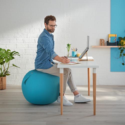 LEITZ Cosy Ballon d'assise ergonomique, bleu, 52790061 photo du produit Secondaire 2 L