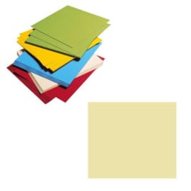EPSON Paquet de 50 feuilles de papier mat épais référence S041061