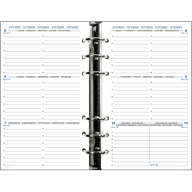 Exacompta - Recharge pour agenda de bureau Lady 20 21 x 15 cm Semainier  Janvier à Décembre 2024