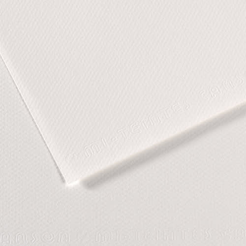 CANSON Feuille MI-TEINTES® 50X65 160g blanc 335 photo du produit Principale L