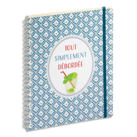 Recharge carnet ligné A5 pour agenda de bureau All in One Easy time 21  spiralé 21 x 15 cm